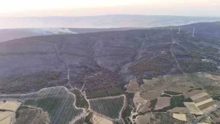 Şarköy'deki orman yangını kontrol altına alındı
