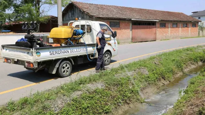 Serdivan Belediyesi ilaçlama çalışmalarını yoğunlaştırdı