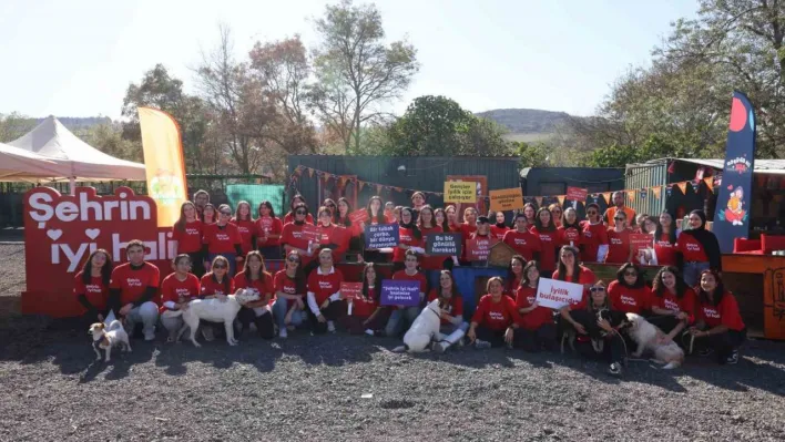 Serenay Sarıkaya ve Akbank'tan yardıma muhtaç hayvanlara destek