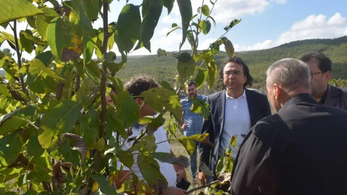 Seymen Tarımsal Kalkınma Kooperatifi'nin Ceviz ve Badem Bahçesi Kontrol Edildi