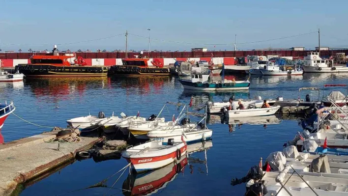 Sıcak sular balıkçıların rotalarını Karadeniz'e çevirtti