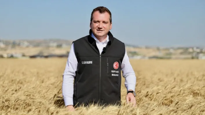 Silivri Belediyesi, buğday hasadını tamamladı