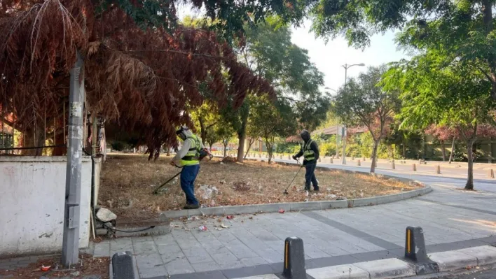Silivri Belediyesi'nden yangınlara karşı önlem: Ot biçme ve temizlik çalışmaları yapıldı