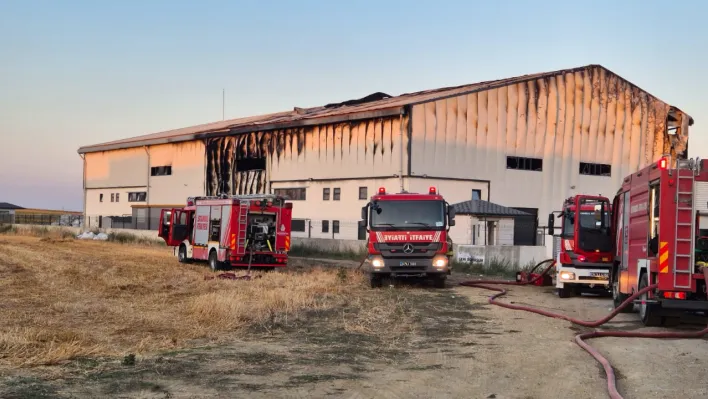 Silivri'de geri dönüşüm fabrikasında yangın