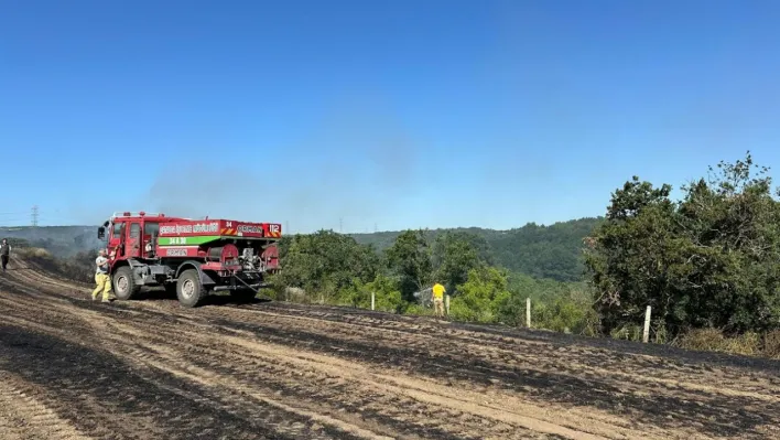 Silivri'de Ormana Sıçrayan Anız Yangını Kontrol Altına Alındı