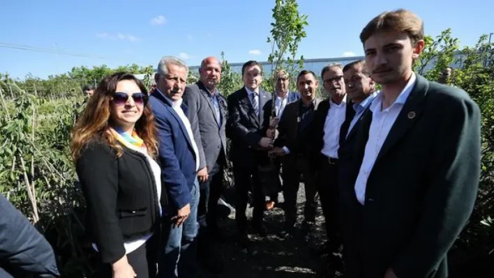 Silivri'de Üreticilere 2.800 Meyve Ağacı Fidanı Dağıtıldı