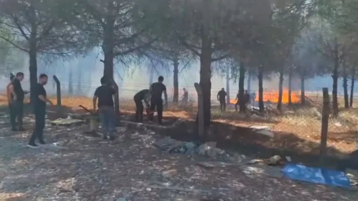 Silivri'de yangın ormanlık alana sıçramadan söndürüldü