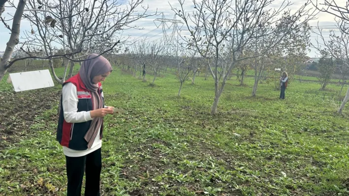 Silivri'de Ziraat Mühendisleri Sahada: Çeltik Mahallesinde Denetimler Sıklaştırıldı