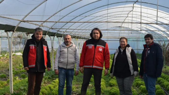 Silivri İlçe Tarım Müdürlüğünden sera ziyareti