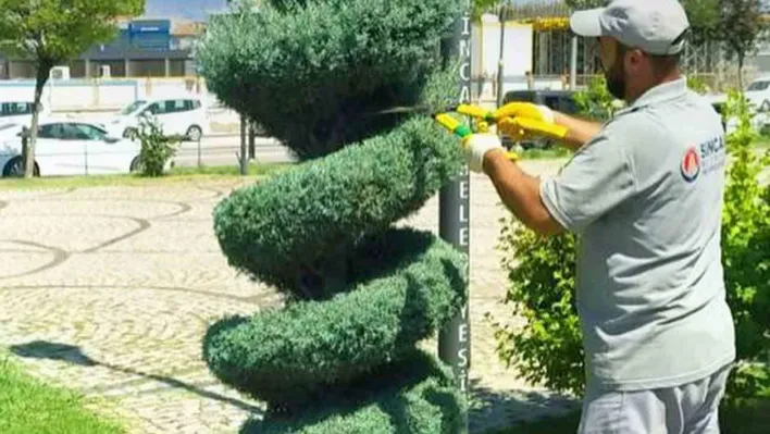 Sincan'da parklardaki ağaçlar görüntüleriyle görenleri kendine hayran bırakıyor