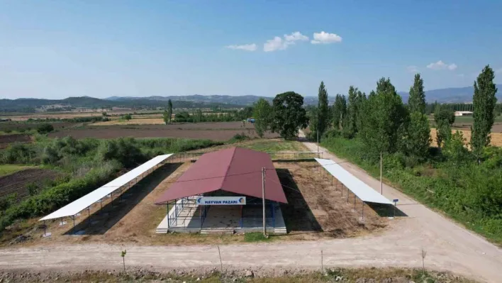 Sındırgı'da kurban pazarı panayır alanında