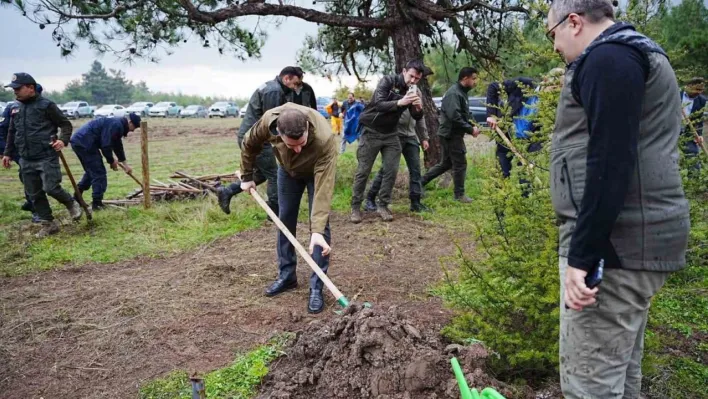 Sındırgı'da Milli Ağaçlandırma Günü'nde fidanlar toprakla buluştu