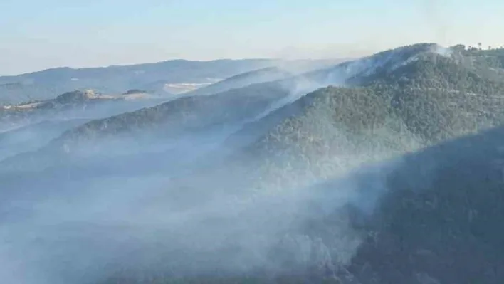Sındırgı'da yangına sabah müdahalesi