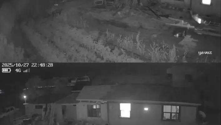 Sındırgı depreminde beşik gibi sallandı...O anlar kamerada