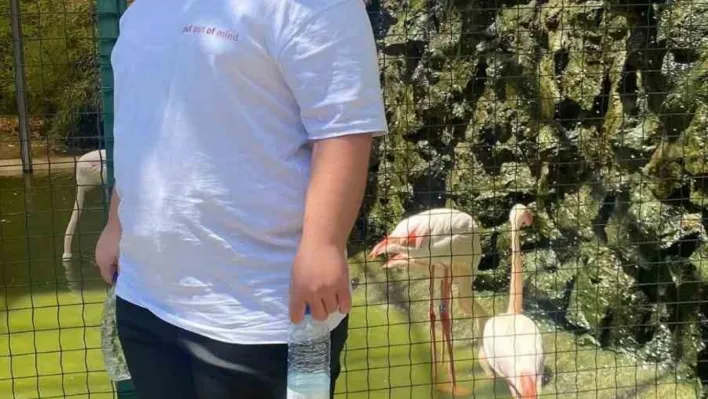 Sinema dönüşünde kaza: 17 yaşındaki genç hayatını kaybetti