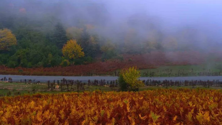 Sisler içindeki vadinin kalbinde doğa yürüyüşü
