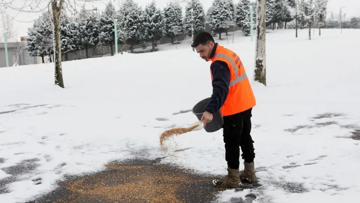 Soğuk kış gününde sokak hayvanları unutulmadı