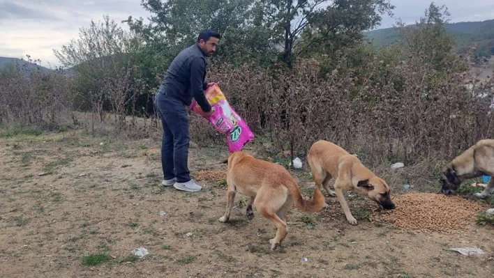 Sokak hayvanlarına destek devam ediyor