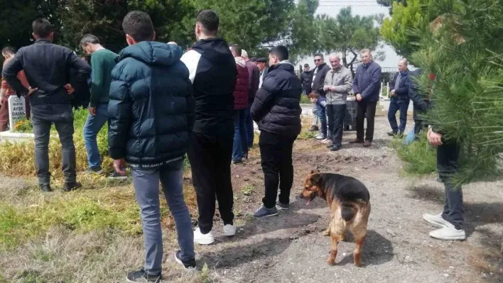 Sokak köpeği Messi cenazelere katılıyor