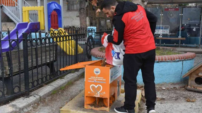 Sokaktaki canlar mamaya kolayca ulaşıyor