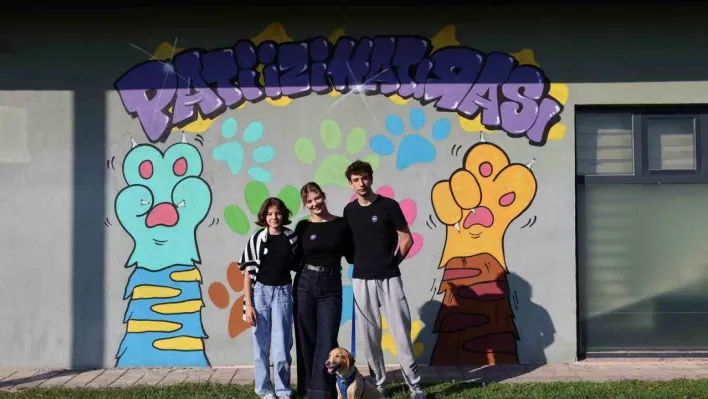 Sokaktan sıcacık yuvaya: 'Pati İzi'nde 500 can dost yeni hayatına kavuştu