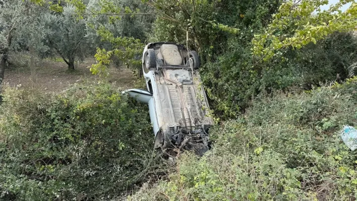 Sollama yaparken zeytinliğe uçtu