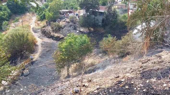 Sultangazi'de ağaçlık alanda yangın çıktı, 3 ev tahliye edildi