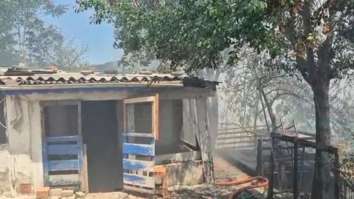 Sultangazi'de çıkan yangında 2 gecekondu kullanılamaz hale geldi