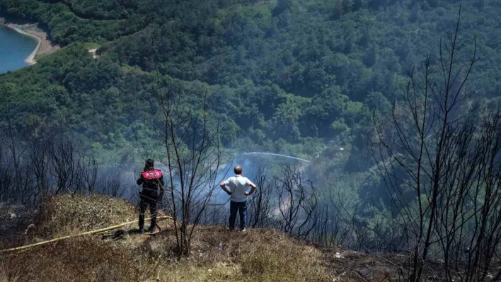 Sultangazi'de ormanlık alanda çıkan yangın kontrol altına alındı