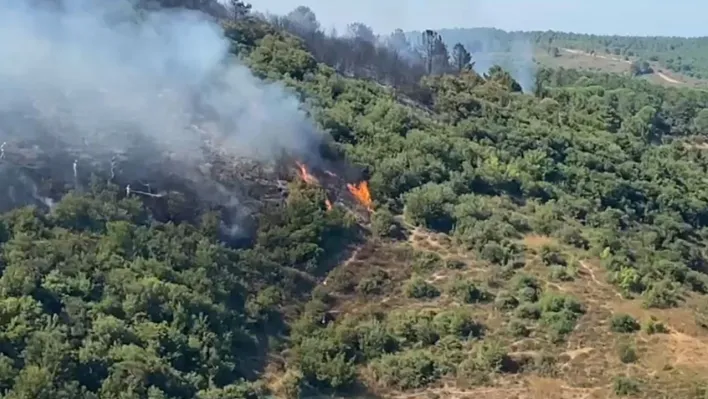 Sultangazi Kent Ormanı'ndan alevler yükseldi