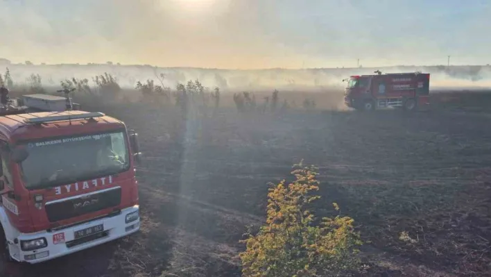 Susurluk'taki orman yangını kontrol altına alındı