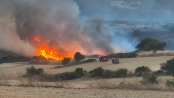 Susurluk'taki orman yangınına müdahale sürüyor