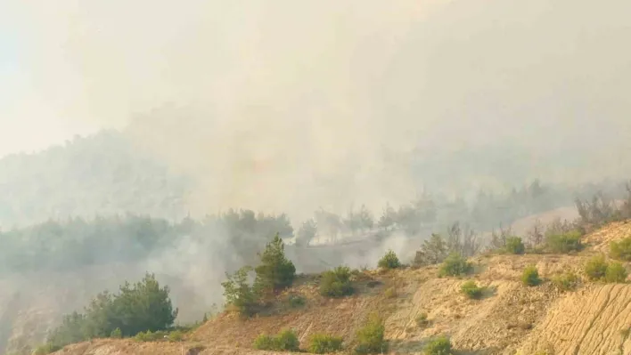 Tarihi İpek Yolu yanıyor