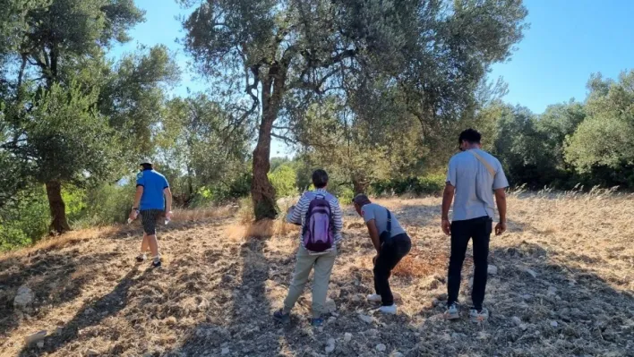 Tarihi zeytin yolları gün yüzüne çıkarılıyor