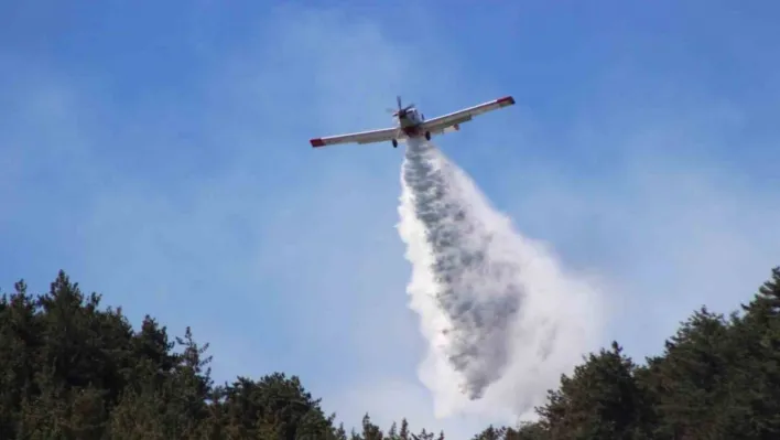 Tarım ve Orman Bakanlığı: 'Hatay Belen'deki orman yangına havadan ve karadan etkin müdahalesi aralıksız devam ediyor'