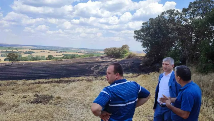 Tarım yetkilileri, Paşayiğit'te küle dönen 2 bin 330 dönüm araziyi inceledi