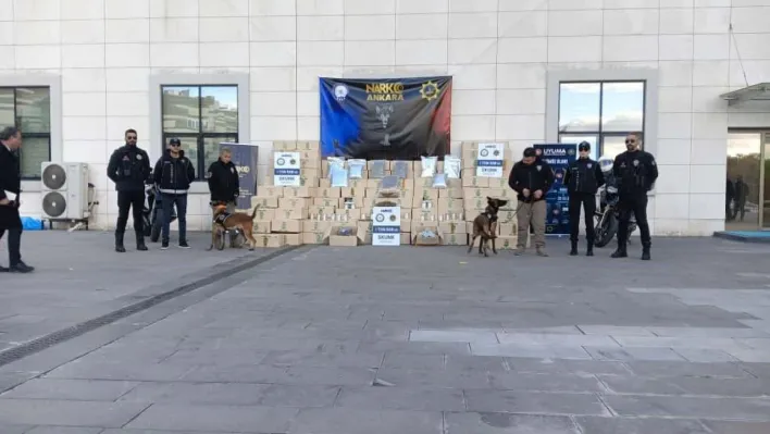 Tayland'dan Türkiye'ye 1 buçuk tonluk skunk sevkiyatı narkotik polisine takıldı