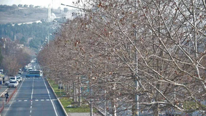 Tekirdağ'a kıştan önce bahar havası geldi