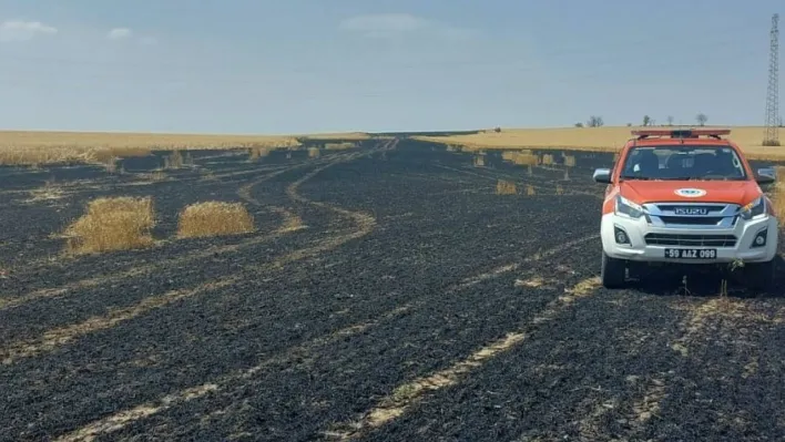 Tekirdağ'da 15 dönüm buğday alevlere teslim oldu