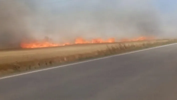 Tekirdağ'da 180 dönüm buğday cayır cayır yandı: 3 yaralı