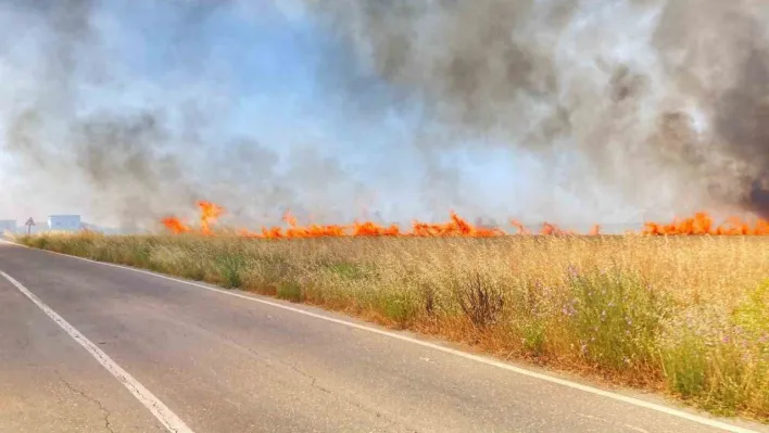 Tekirdağ'da 250 dönüm buğday yandı