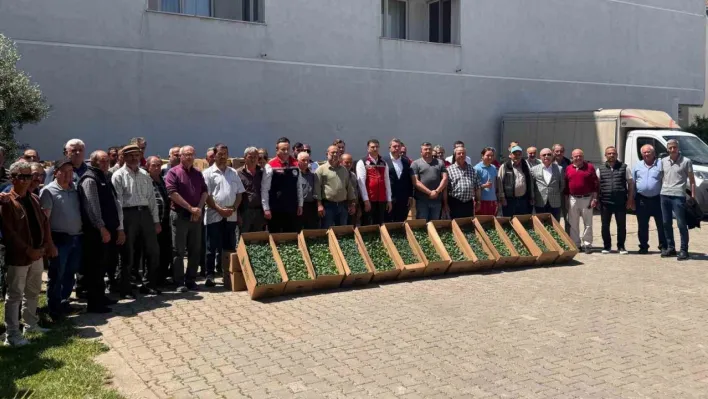 Tekirdağ'da 314 üreticiye 283 bin sebze fidesi dağıtıldı