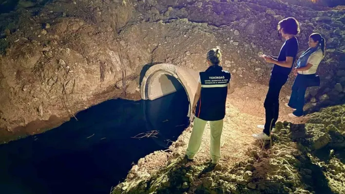 Tekirdağ'da ağır koku ihbarlarına jet denetim