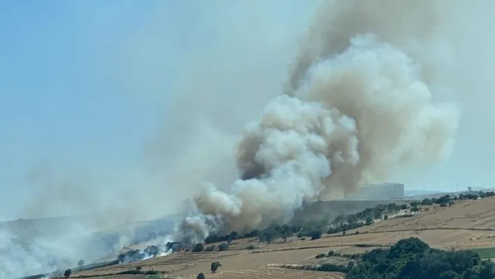 Tekirdağ'da alev alev yanan buğday tarlası küle döndü