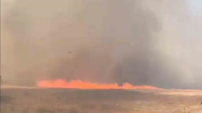 Tekirdağ'da alevler tarla ve ormanı sardı: 10 ev boşaltıldı