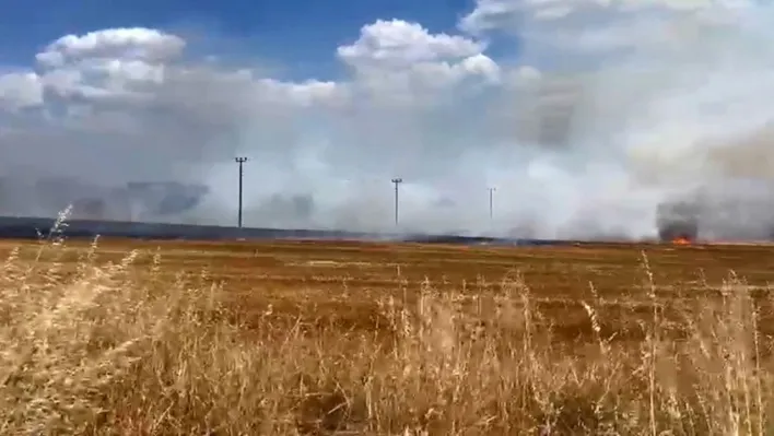 Tekirdağ'da anız yangını mahalleyi tehdit etti