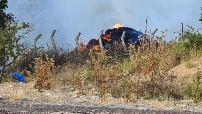 Tekirdağ'da anız yangını ormanlık alana sıçradı