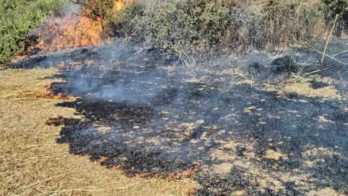 Tekirdağ'da anız yangını