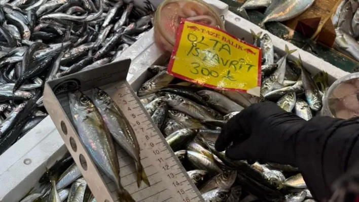 Tekirdağ'da balık tezgahlarına sıkı denetim: Boy ölçümleriyle sürdürülebilir avcılığa destek