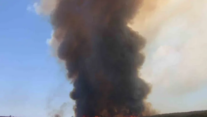 Tekirdağ'da başlayarak Çanakkale'ye ulaşan yangın yeniden alevlendi